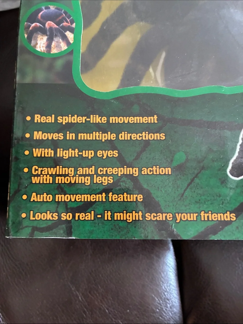 Radio Control Tarantula Plush - Black - Unbranded halloween